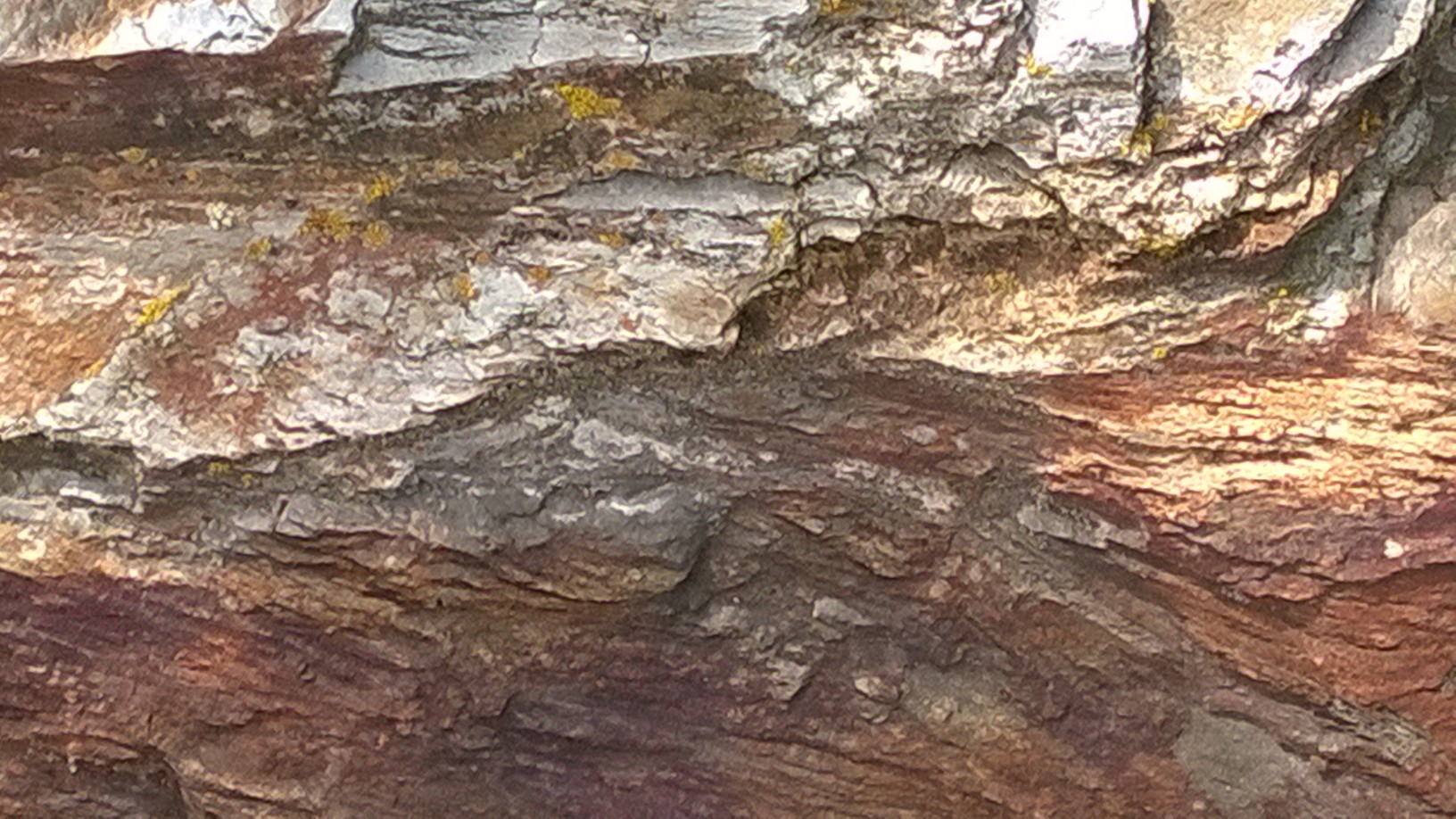 wpid-wp_20141023_015.jpg image