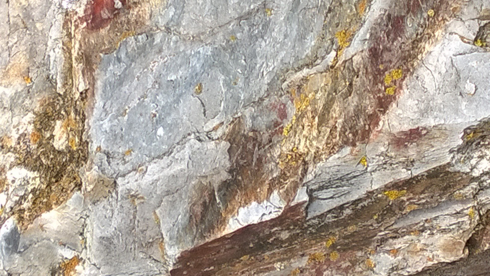 wpid-wp_20141023_016.jpg image