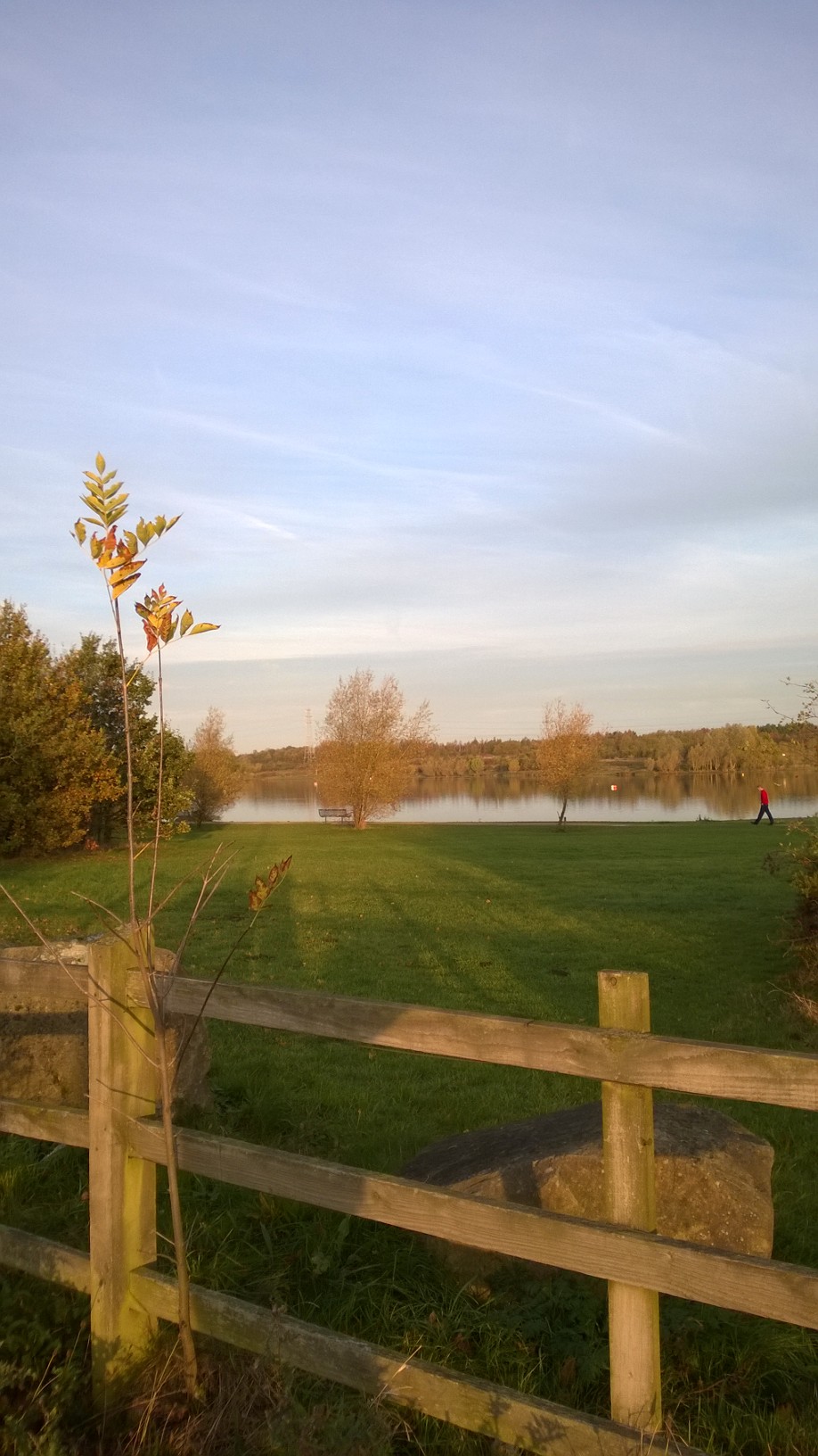 wpid-wp_20141029_004-2.jpg image