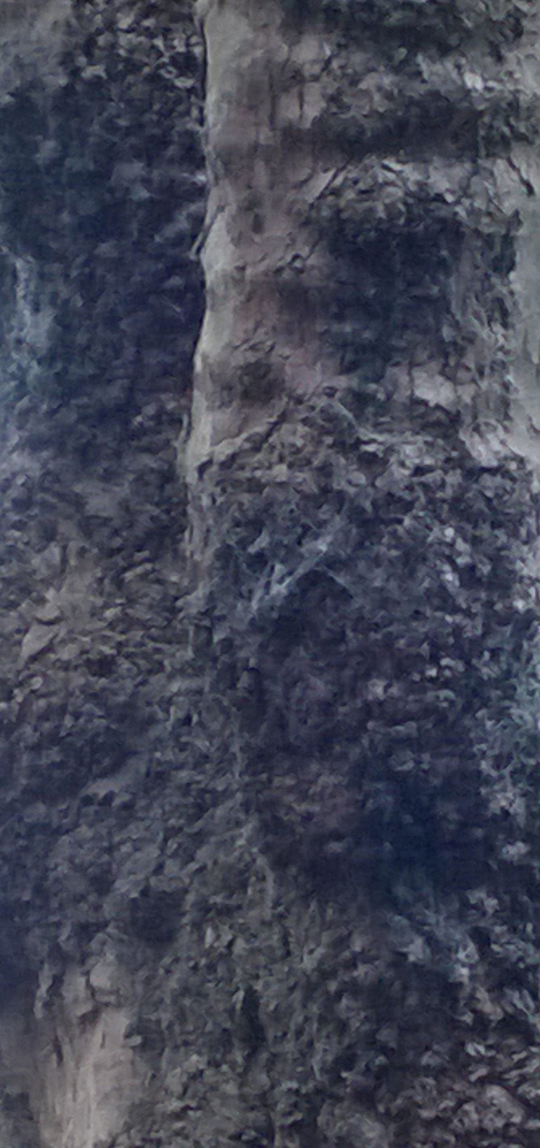 wpid-wp_20141103_001.jpg image