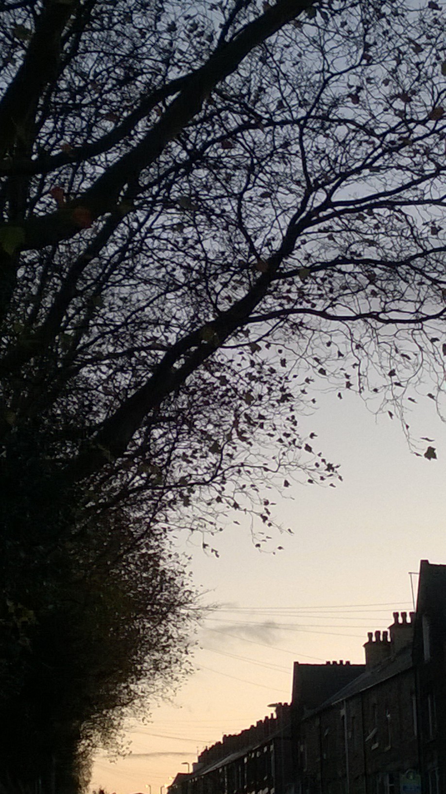 wpid-wp_20141103_009.jpg image