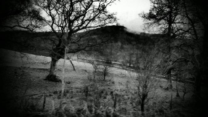 wp-1428995818311 image