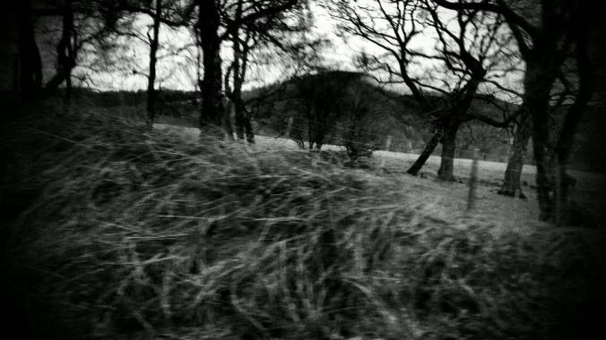 wp-1428995818698 image