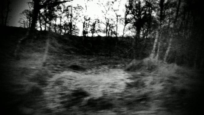 wp-1428995819046 image