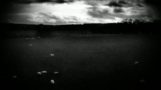 wp-1428995819802 image