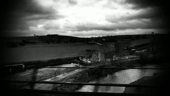 wp-1428995820233 image