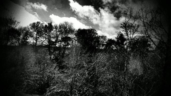 wp-1428995820524 image