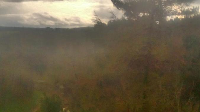 wp-1428995820812 image