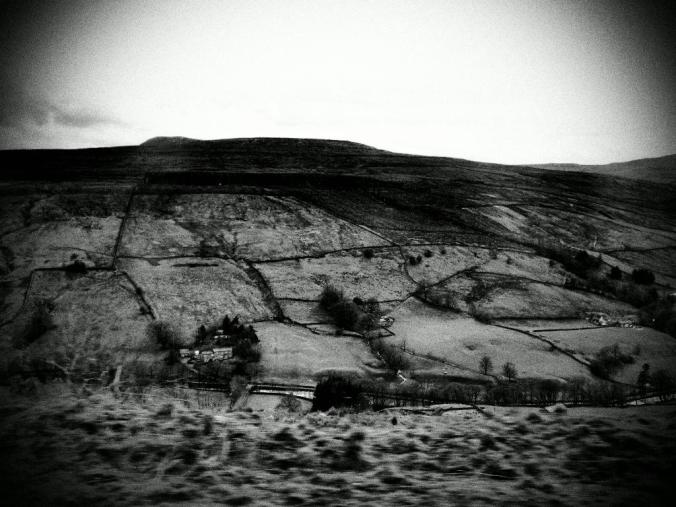 wp-1428995821480 image