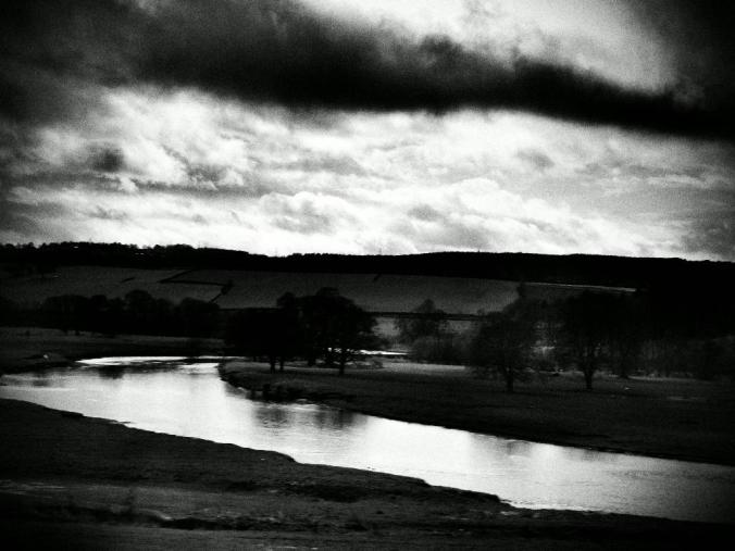 wp-1428995821833 image