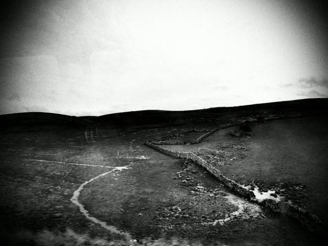 wp-1428995822836 image