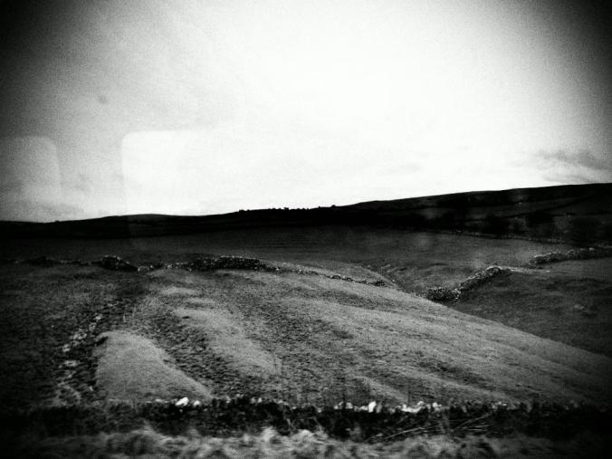 wp-1428995823244 image