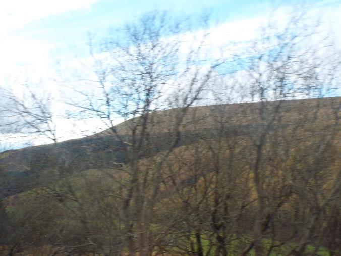 wp-1428995823581 image