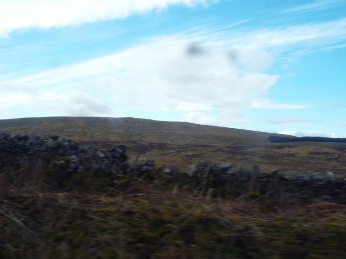 wp-1428995823995 image