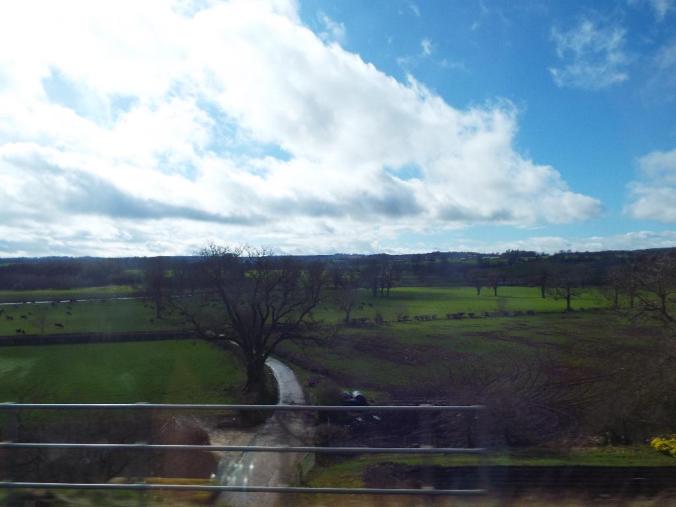 wp-1428995824393 image