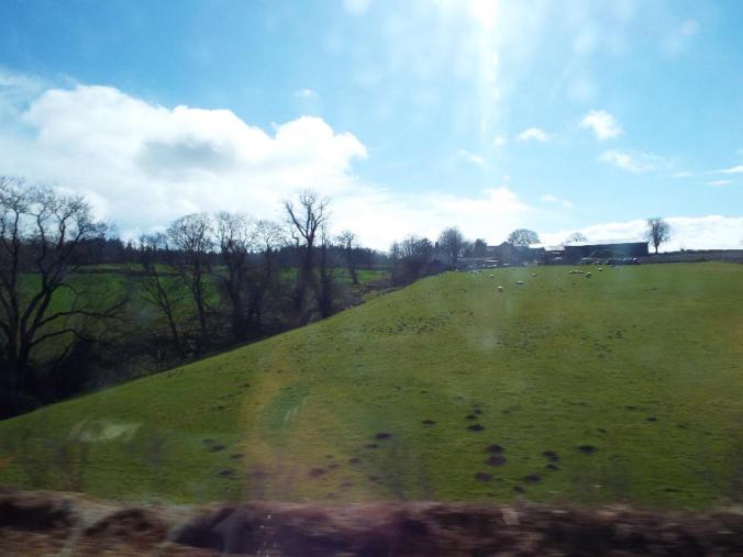 wp-1428995824821 image