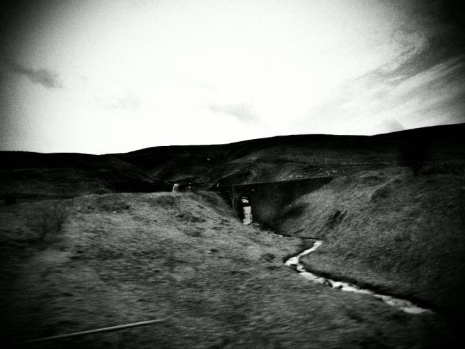 wp-1428995825646 image