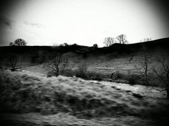 wp-1428995826563 image