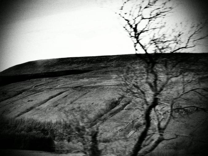 wp-1428995826902 image