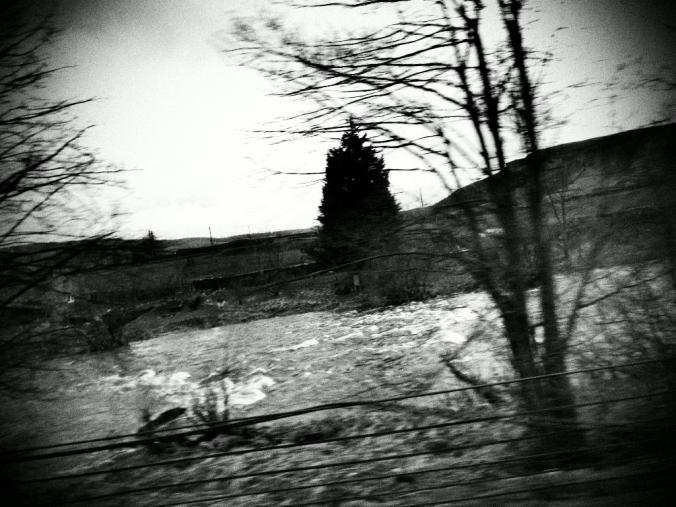 wp-1428995827348 image