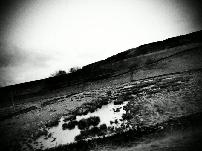 wp-1428995827829 image