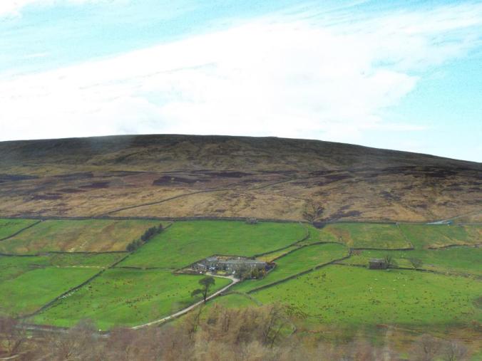 wp-1428995828252 image