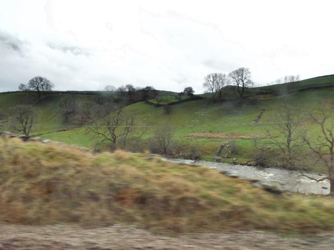 wp-1428995828618 image