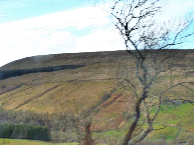 wp-1428995828973 image