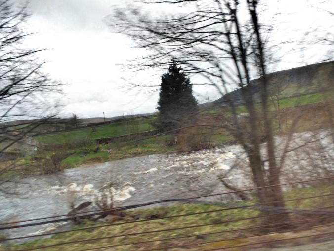 wp-1428995829322 image