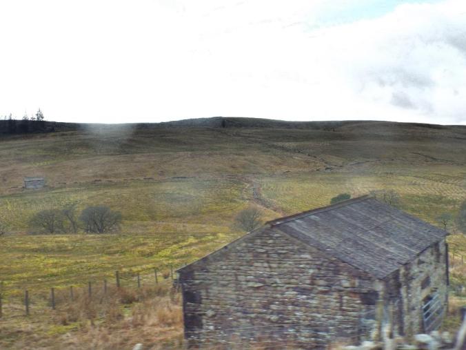 wp-1428995829769 image