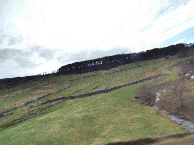 wp-1428995830190 image