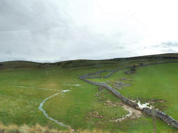 wp-1428995830487 image