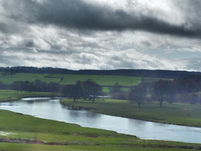 wp-1428995830757 image