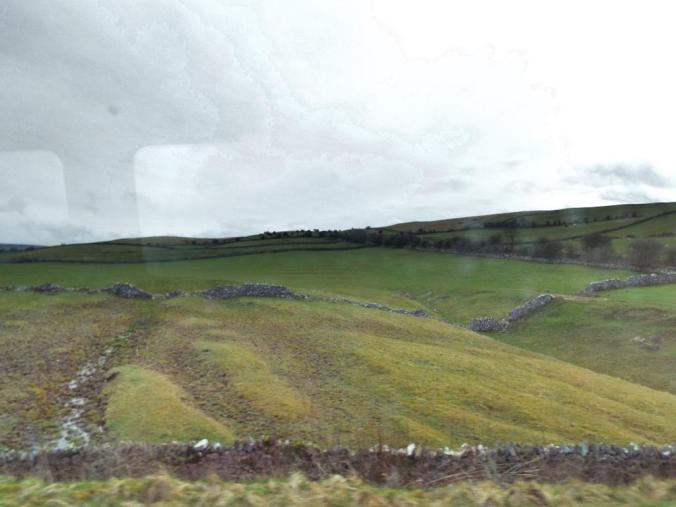 wp-1428995831015 image