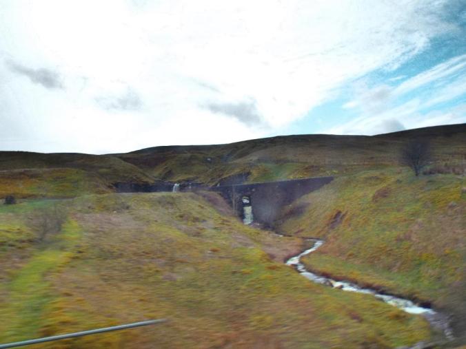 wp-1428995831292 image