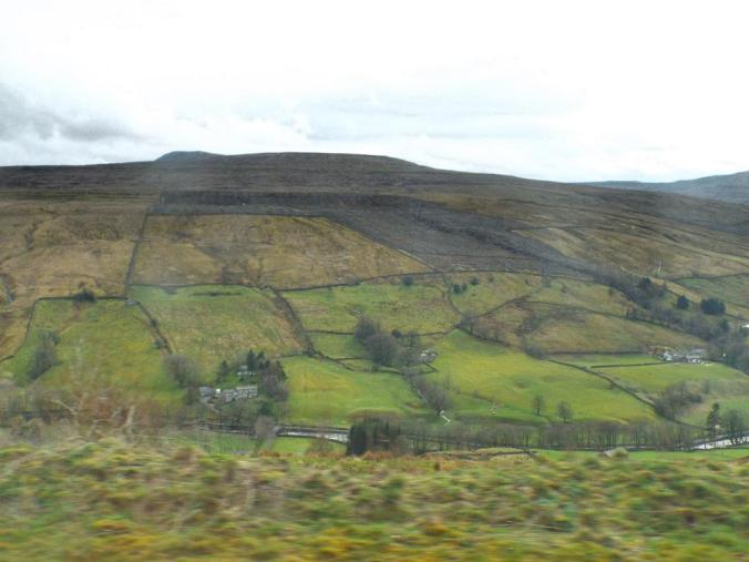 wp-1428995831620 image