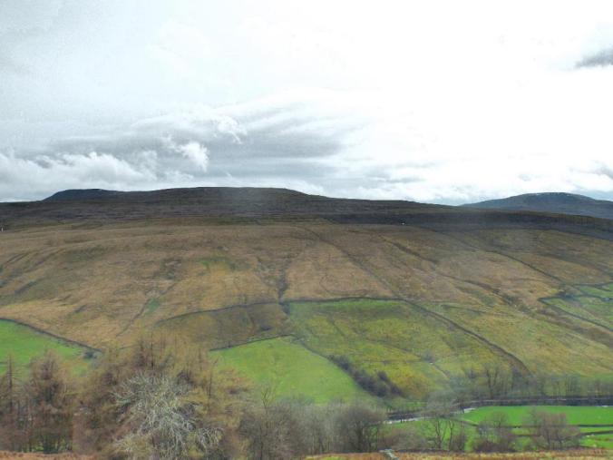 wp-1428995831965 image