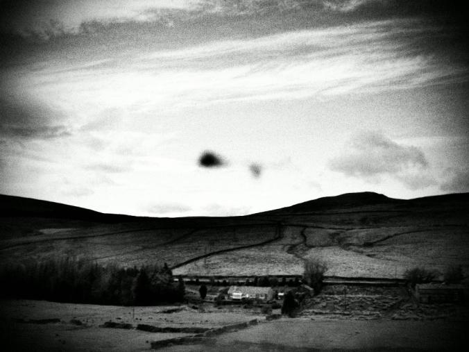 wp-1428995832194 image