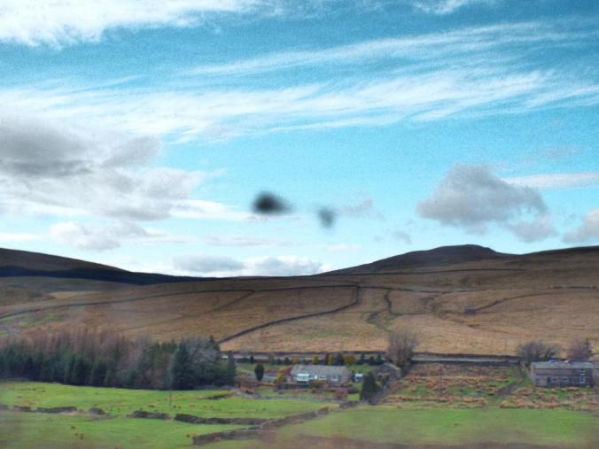 wp-1428995832601 image