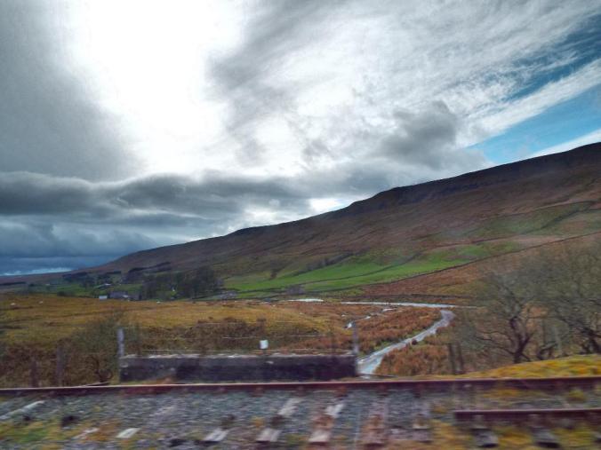 wp-1428995833401 image