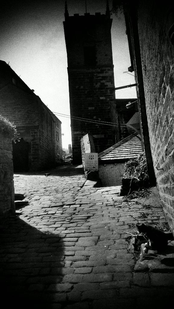 wp-1431942326510 image