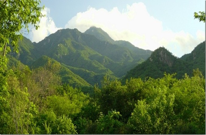 A place in our hearts