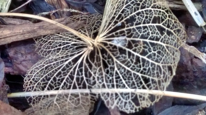 Camera360_2016_4_19_070727 1.jpg