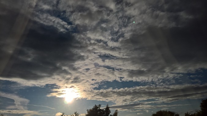 WP_20160629_20_10_01_Rich