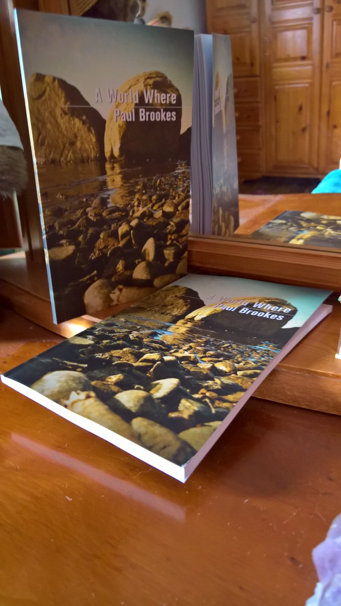 WP_20170724_14_51_49_Pro