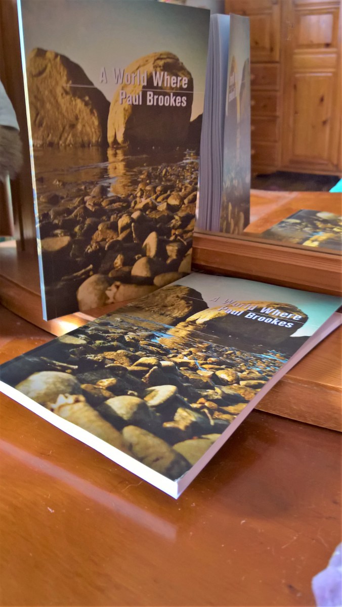 WP_20170724_14_51_49_Pro (2)