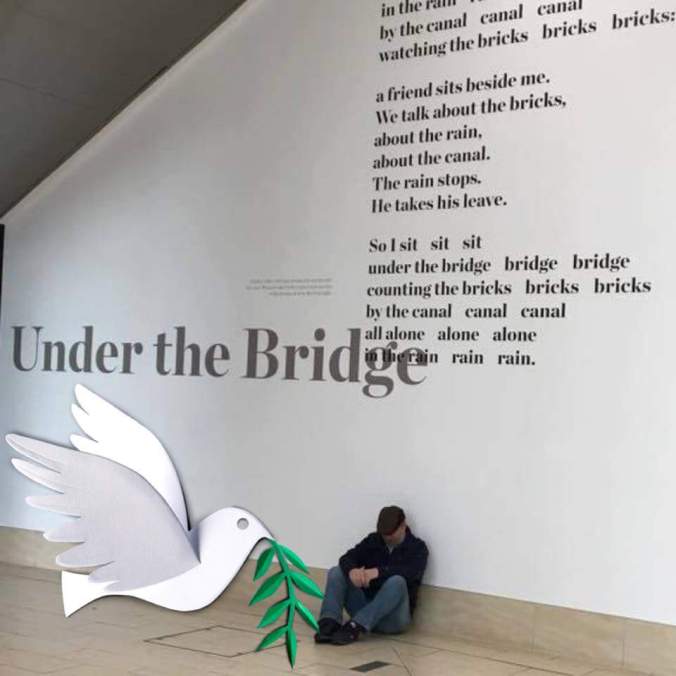 26166627_10155266591822993_7640067934263250491_n