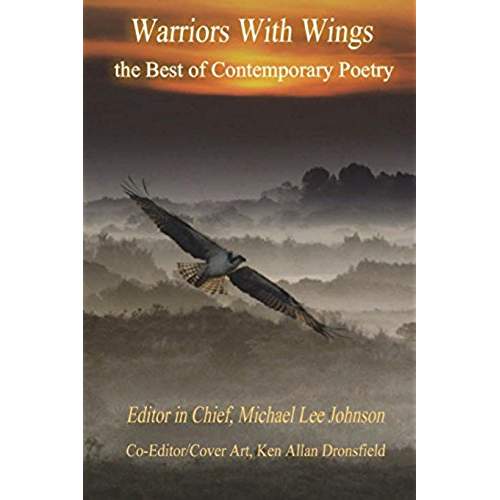 41aRkDpCzuL._AC_US500_QL65_