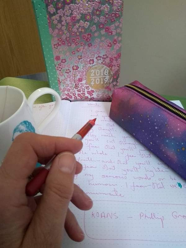 44824202_745687272440439_1471229833085190144_n (2)