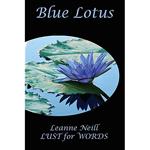 51cSQWeTISL._AC_US500_QL65_